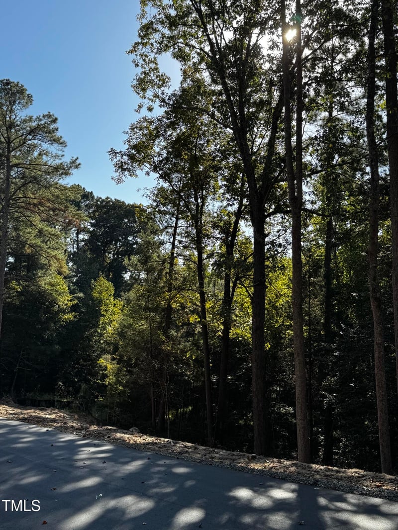 140 Noble Reserve Way Lot 3, Pittsboro, NC 27312