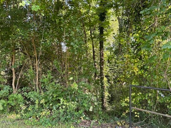 1401 Club Blvd Lot 02, Durham, NC 27705
