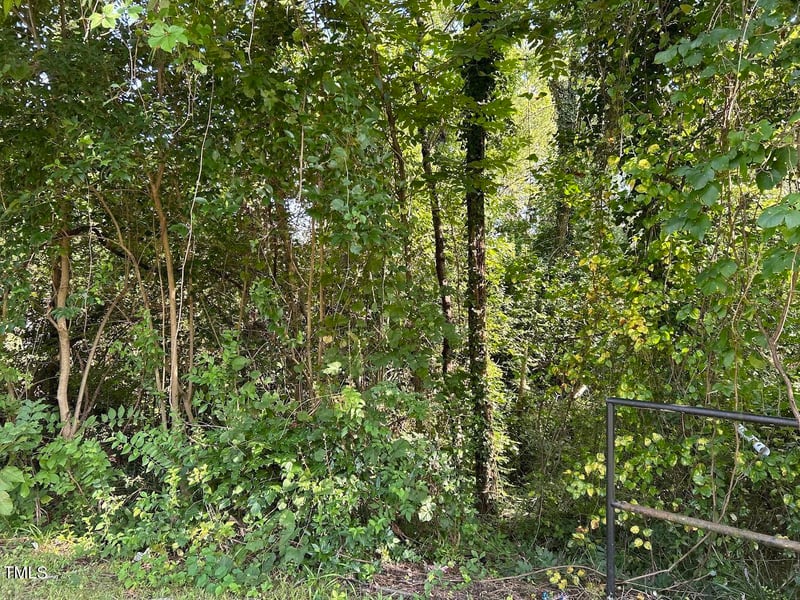 1401 Club Blvd Lot 02, Durham, NC 27705