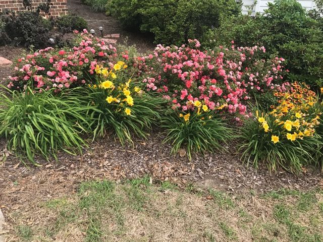 1408 Deltona Dr, Raleigh, NC 27615