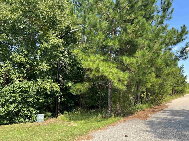141 Appleton Way Lot 62, Sanford, NC 27332