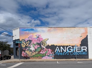 141 Broad St, Angier, NC 27501