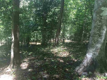 14109 Nc 50 Hw Lot 002, Willow Springs, NC 27592