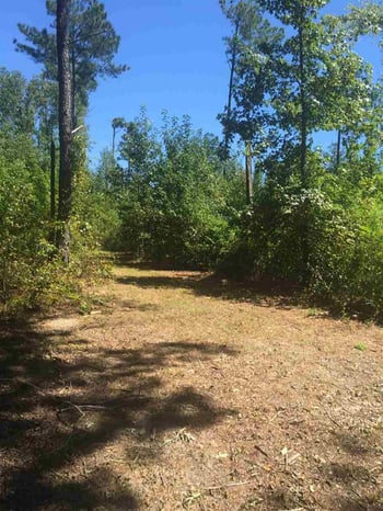 14109 Nc 50 Hw Lot 002, Willow Springs, NC 27592