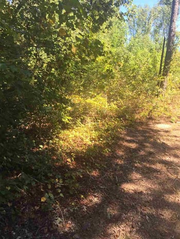 14109 Nc 50 Hw Lot 002, Willow Springs, NC 27592
