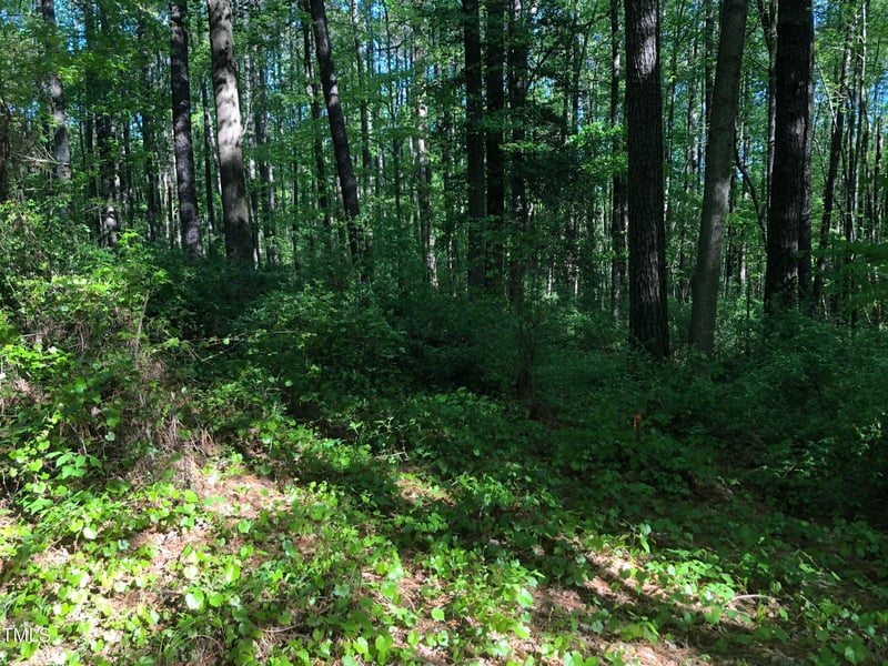 1412 Auman Rd Lot LAND 12, Raleigh, NC 27603