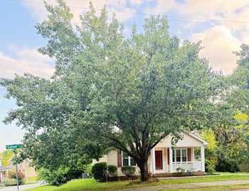 1414 Lenoir St, Raleigh, NC 27610