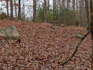 1416 Jack Bennett Rd, Chapel Hill, NC 27517