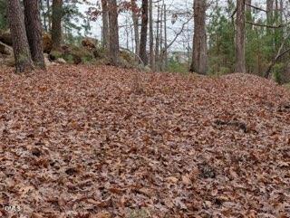 1416 Jack Bennett Rd, Chapel Hill, NC 27517