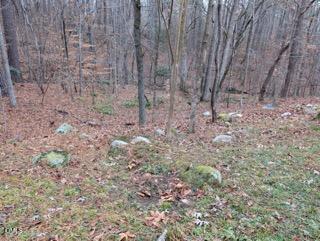 1416 Jack Bennett Rd, Chapel Hill, NC 27517