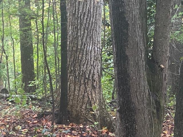 1417 Poinsett Dr, Chapel Hill, NC 27517