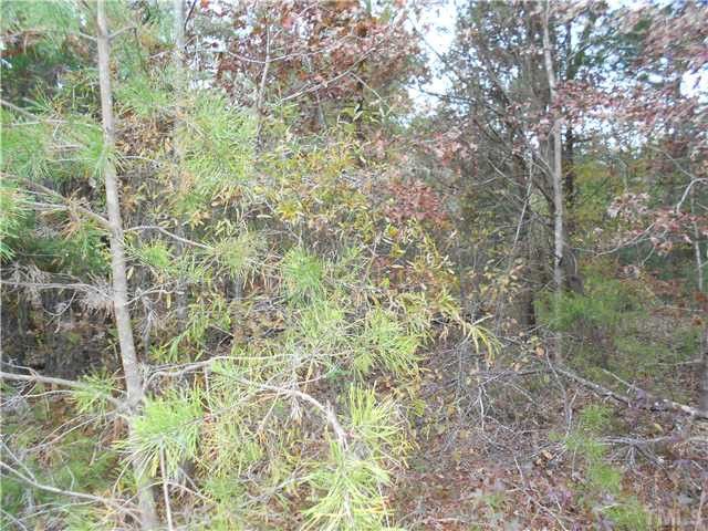 1418 Crawford Dairy Rd Lot 2, Pittsboro, NC 27312