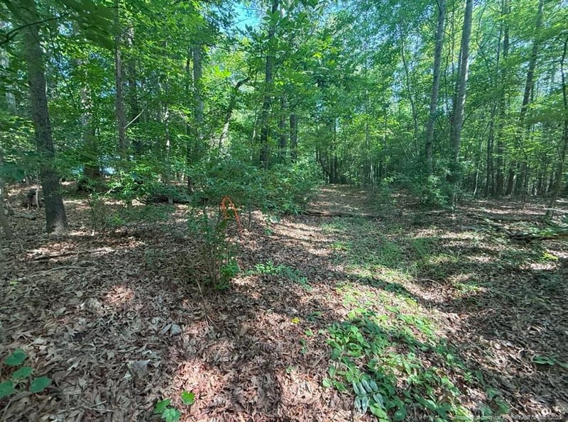 1418 Crawford Dairy Rd, Pittsboro, NC 27312