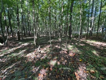 142 Bradford Cir, Clayton, NC 27527