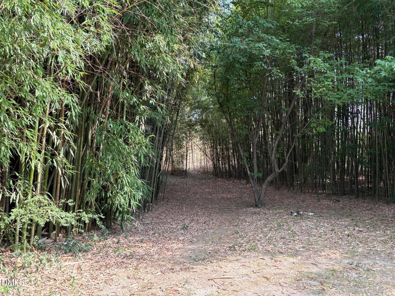 1420 Ferrells Bridge Rd, Louisburg, NC 27549