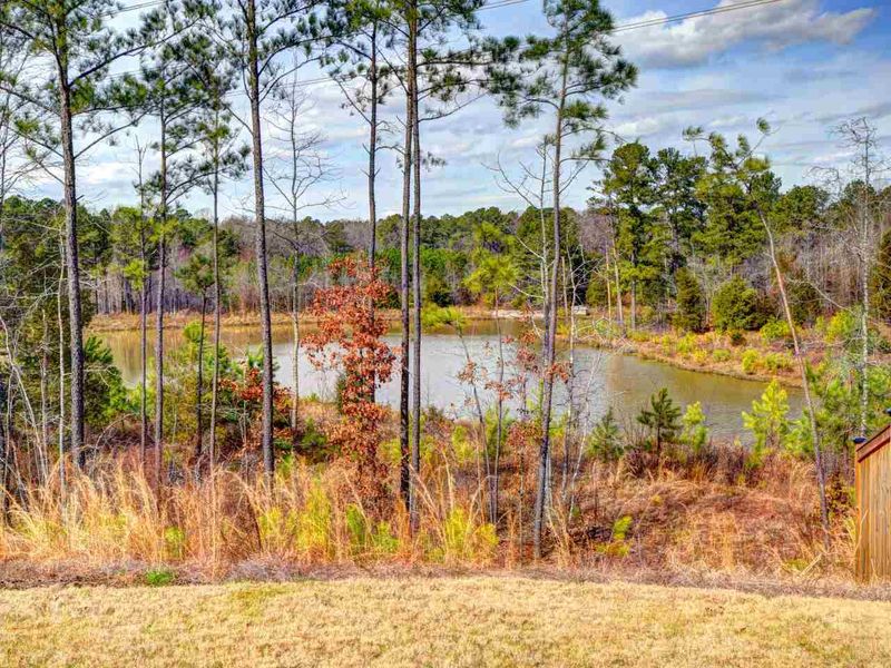 1420 Magic Hollow Dr, Durham, NC 27713