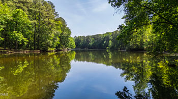 1424 Lake Adventure Ct, Raleigh, NC 27613