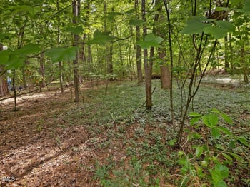 1428 Gray Bluff Trl, Chapel Hill, NC 27517