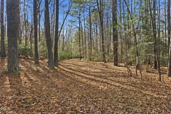 143 Christenbury Ln, Clayton, NC 27527