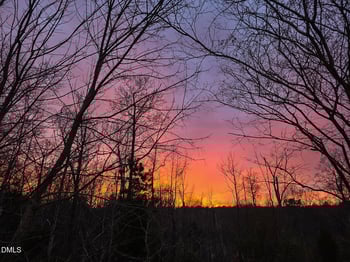 14303 Foxcroft Rd, Raleigh, NC 27614