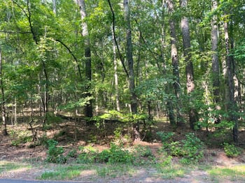 1432 Old Ivey Rd Lot 31, Apex, NC 27523