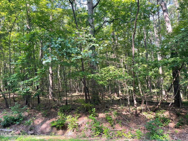 1432 Old Ivey Rd Lot 31, Apex, NC 27523