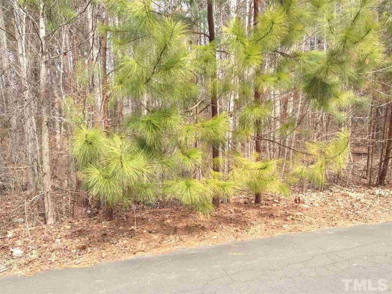 143r Thistle Tc Lot 143r, Durham, NC 27278