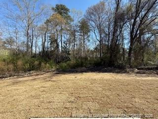 144 Stout Ldg, Dunn, NC 28334