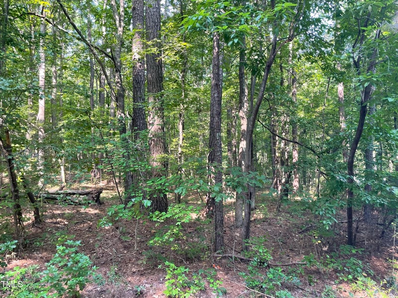 1444 Old Ivey Rd Lot 32, Apex, NC 27523