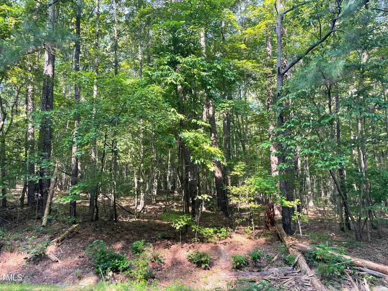 1444 Old Ivey Rd Lot 32, Apex, NC 27523