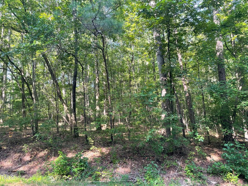 1444 Old Ivey Rd Lot 32, Apex, NC 27523