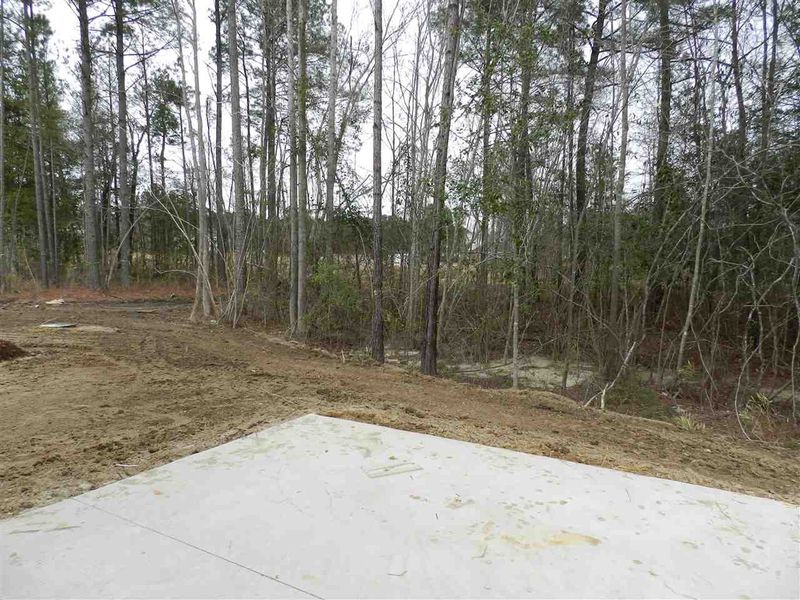 145 Burrage Dr, Angier, NC 27501