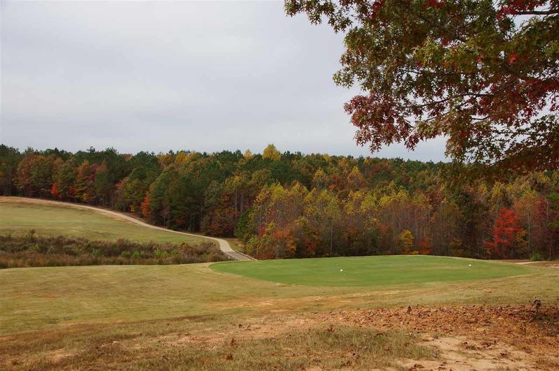 145 Olde Liberty Dr, Youngsville, NC 27596