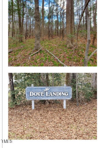 145 Owl Dr Lot 10, Youngsville, NC 27596