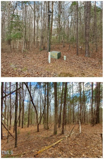 145 Owl Dr Lot 10, Youngsville, NC 27596