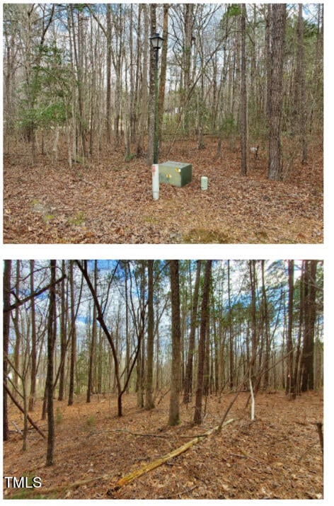 145 Owl Dr Lot 10, Youngsville, NC 27596