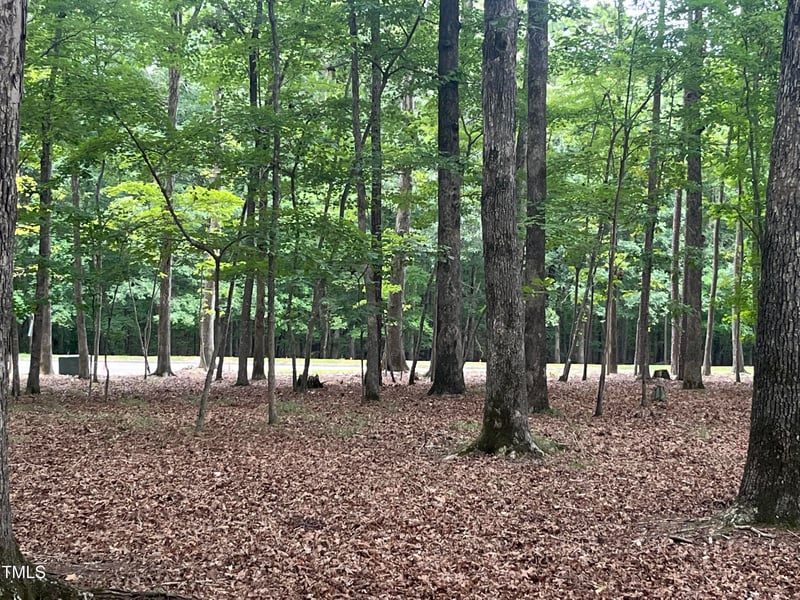 145 Rhododendron Dr, Durham, NC 27712