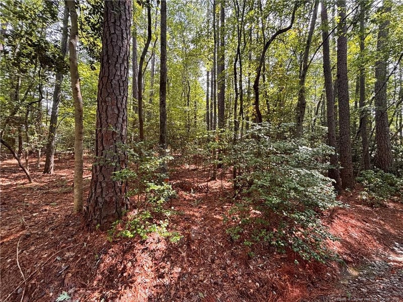 1452 Carolina Dr, Sanford, NC 27332