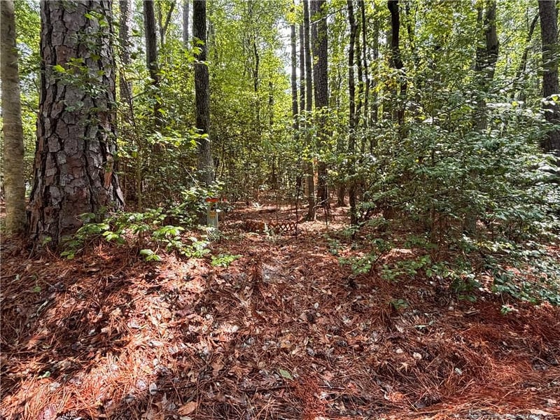 1452 Carolina Dr, Sanford, NC 27332