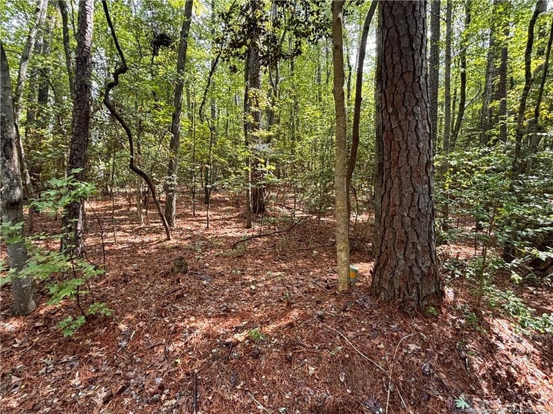 1452 Carolina Dr, Sanford, NC 27332