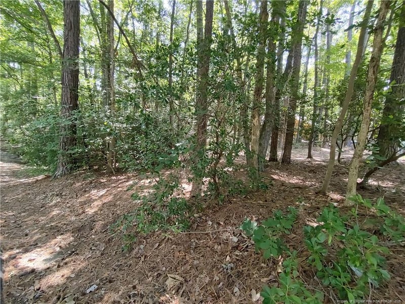 1454 Carolina Dr, Sanford, NC 27332