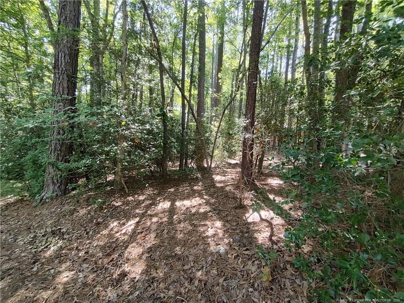 1454 Carolina Dr, Sanford, NC 27332
