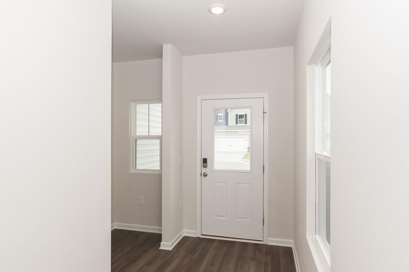 146 Anise Tree Way, Clayton, NC 27527