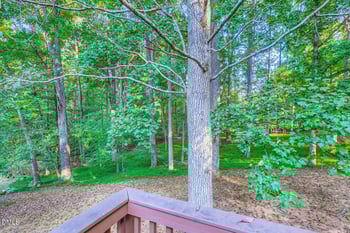 146 Clark Ct, Youngsville, NC 27596