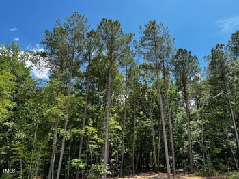 146 Seahawk Way, Zebulon, NC 27597