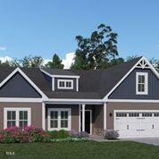 146 Surles Landing Way, Benson, NC 27504