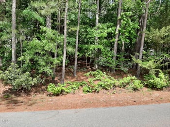 147 Nashua Dr, Louisburg, NC 27549