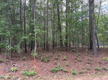 147 Sequoia Dr Lot 2322, Louisburg, NC 27549