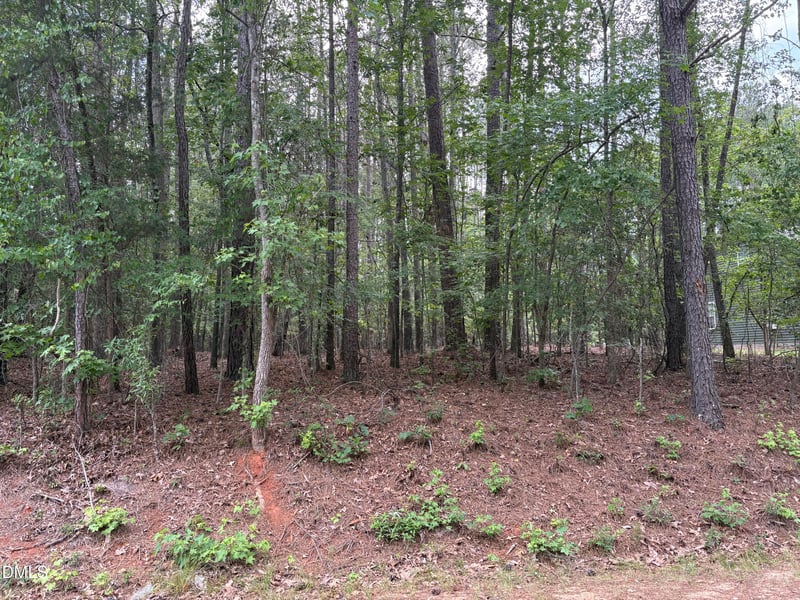 147 Sequoia Dr Lot 2322, Louisburg, NC 27549