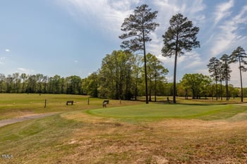 148 Red Wing Dr, Louisburg, NC 27549